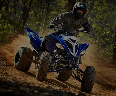 ATV'S SSV'S IN STOCK image